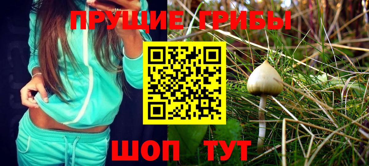 Псилоцибиновые грибы Psilocybine cubensis  Вход с VPN  даркнет сайт  Трёхгорный 